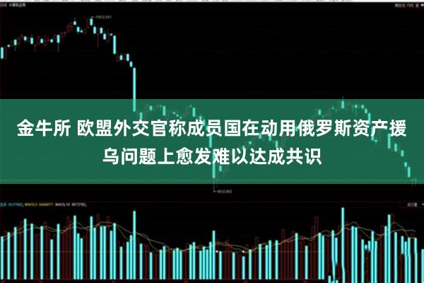 金牛所 欧盟外交官称成员国在动用俄罗斯资产援乌问题上愈发难以达成共识